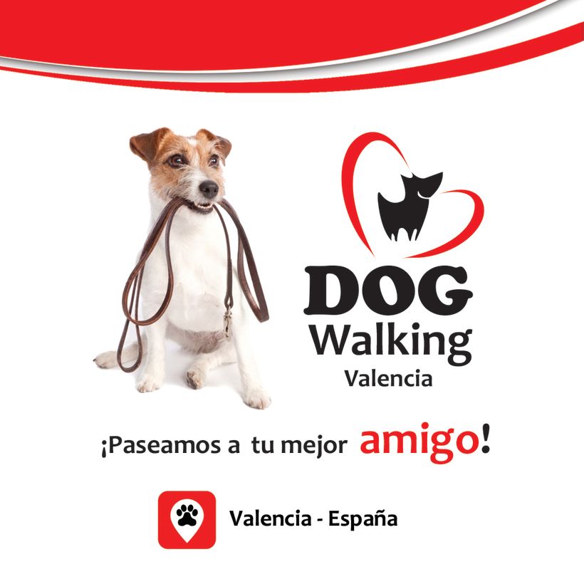 Dog Walking Valencia 3
