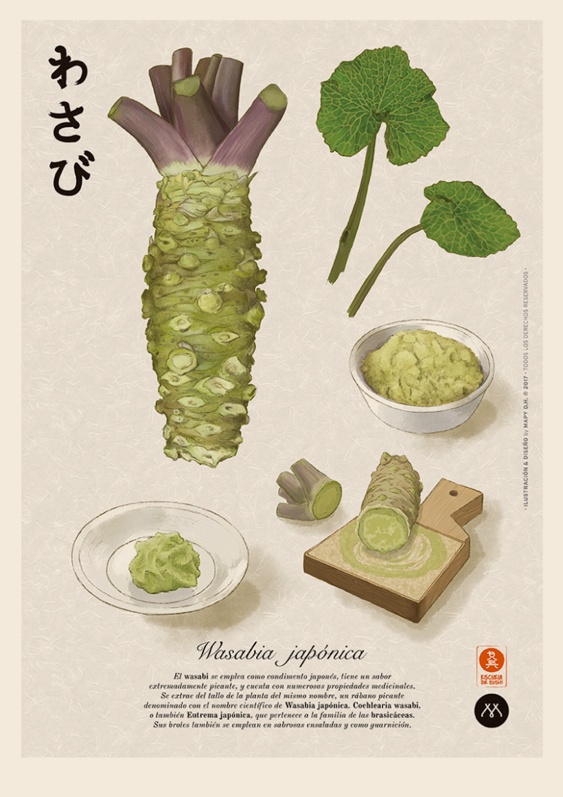WASABI · Botanical Illustration 2