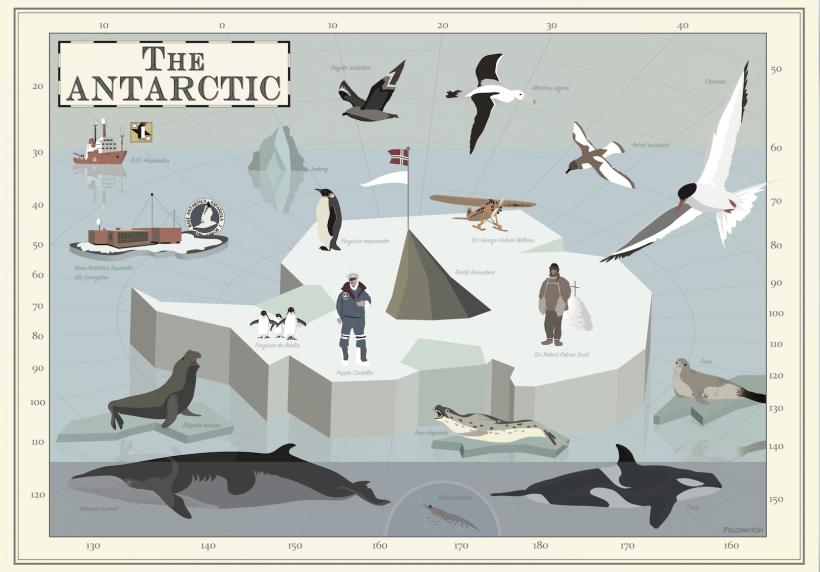 The Antarctic -1