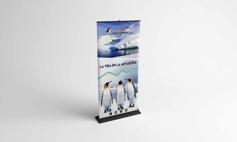 Identidad Corporativa Pingüinos Documental 2