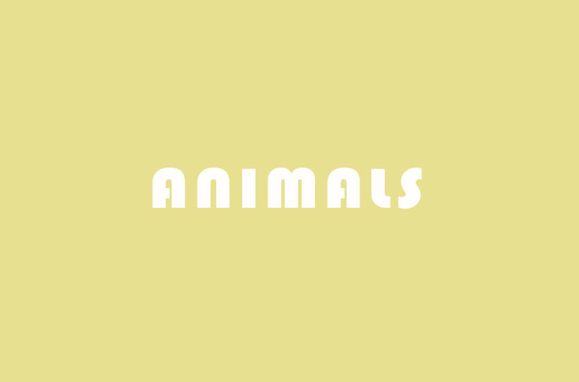 ANIMALS -1