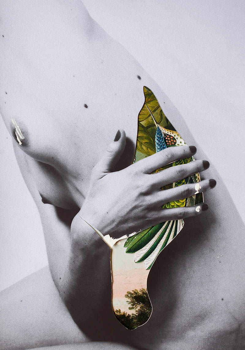 El delicioso collage analógico y surrealista de Rocío Montoya 6