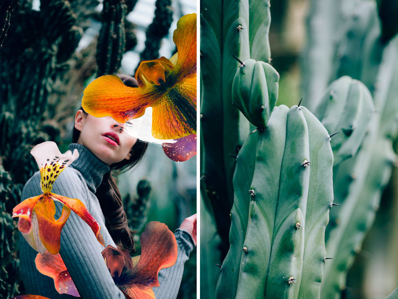 El delicioso collage analógico y surrealista de Rocío Montoya 11