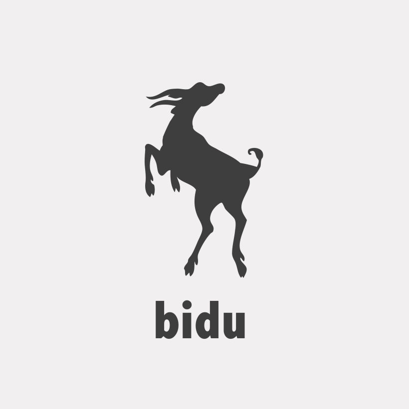 Bidu - Identidad de Marca 2