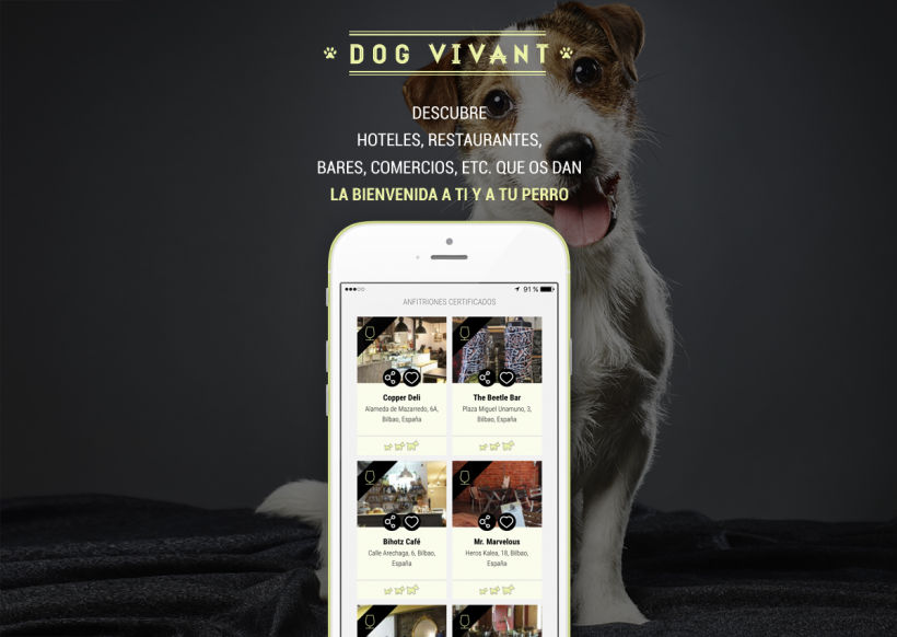 APP Dog Vivant - Diseño y lanzamiento 3
