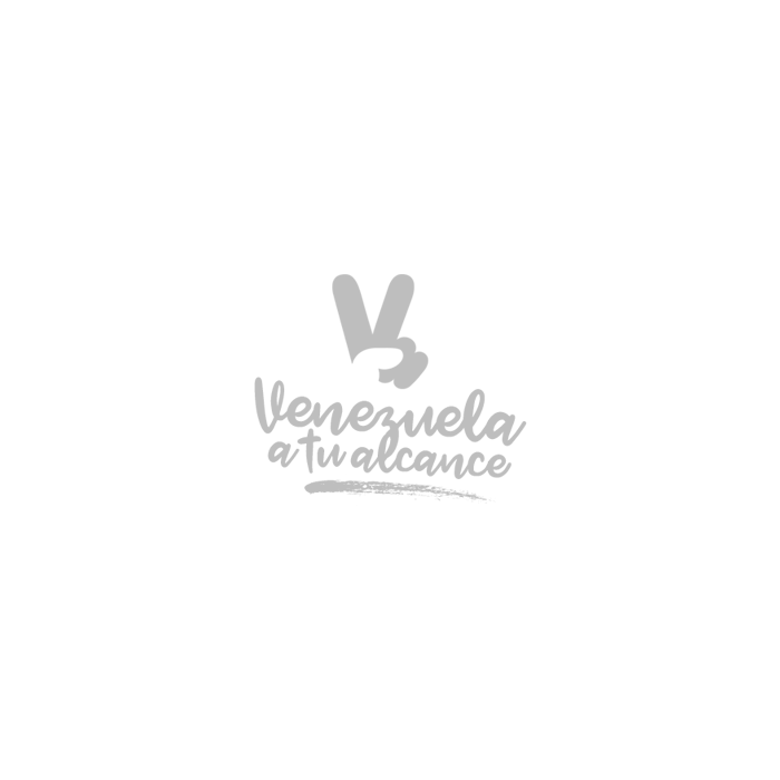 Logos : 2016 - 2017 By. Gustavo Chourio 3