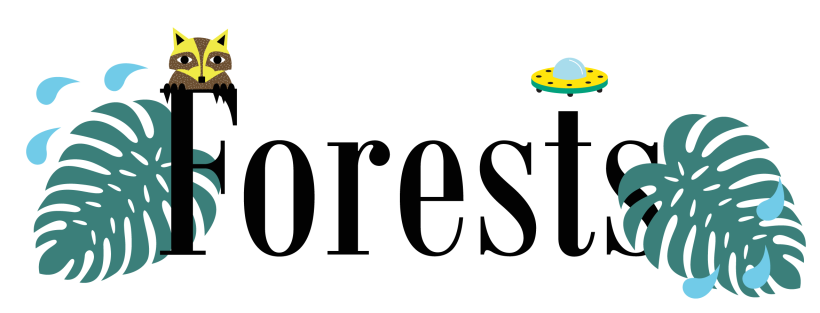 Forest, mi proyecto de ilustración 1