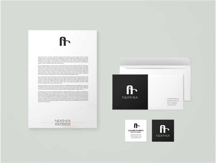 Logotipos, branding, diseño de flyers y de packagings que conforman la empresa NEATHEA (Alba Natura y Bioláctea) 0