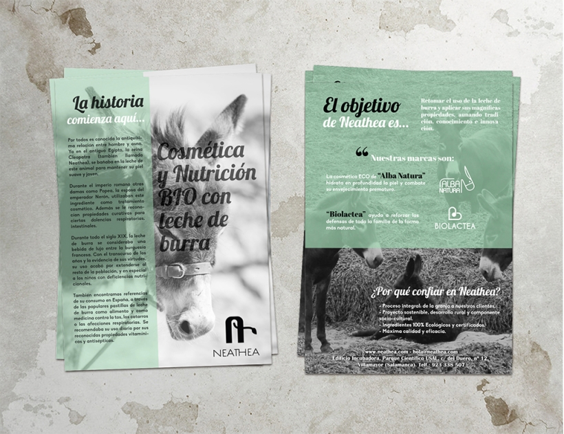 Logotipos, branding, diseño de flyers y de packagings que conforman la empresa NEATHEA (Alba Natura y Bioláctea) 1