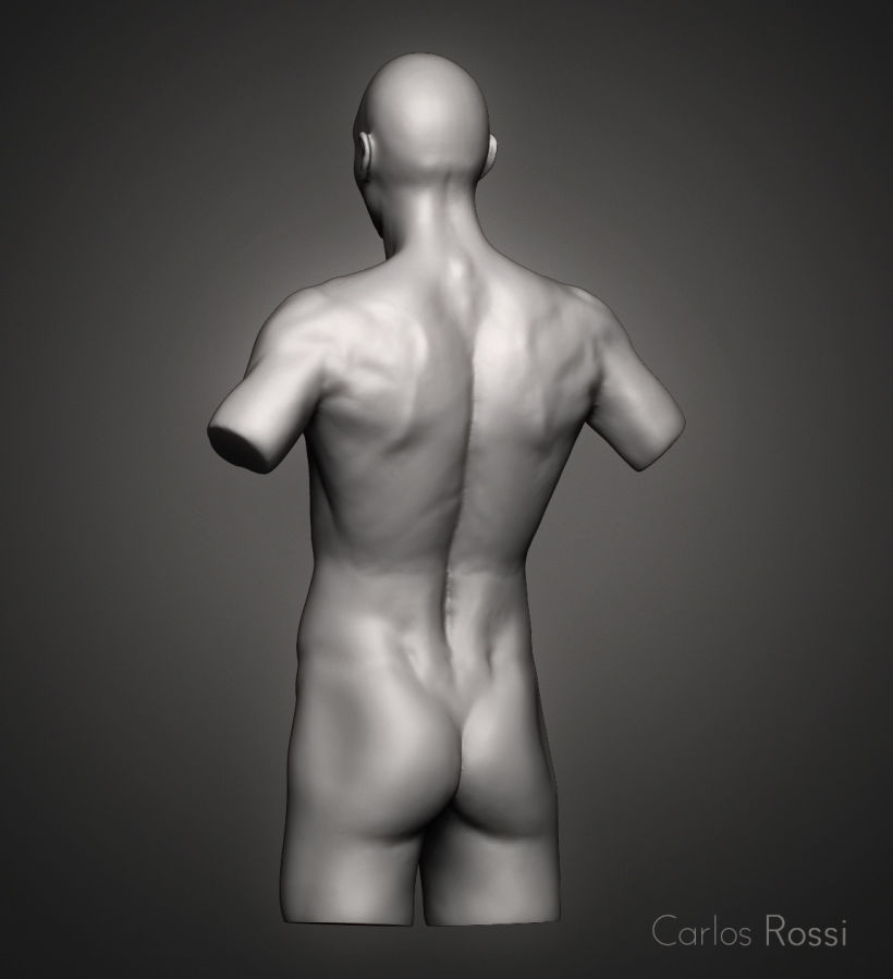 Practice torso man 2