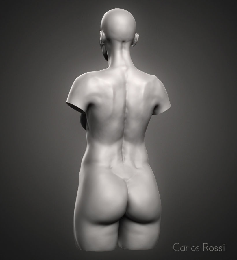 Practice torso woman 2
