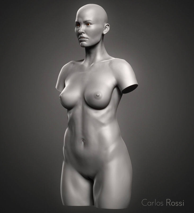 Practice torso woman 0