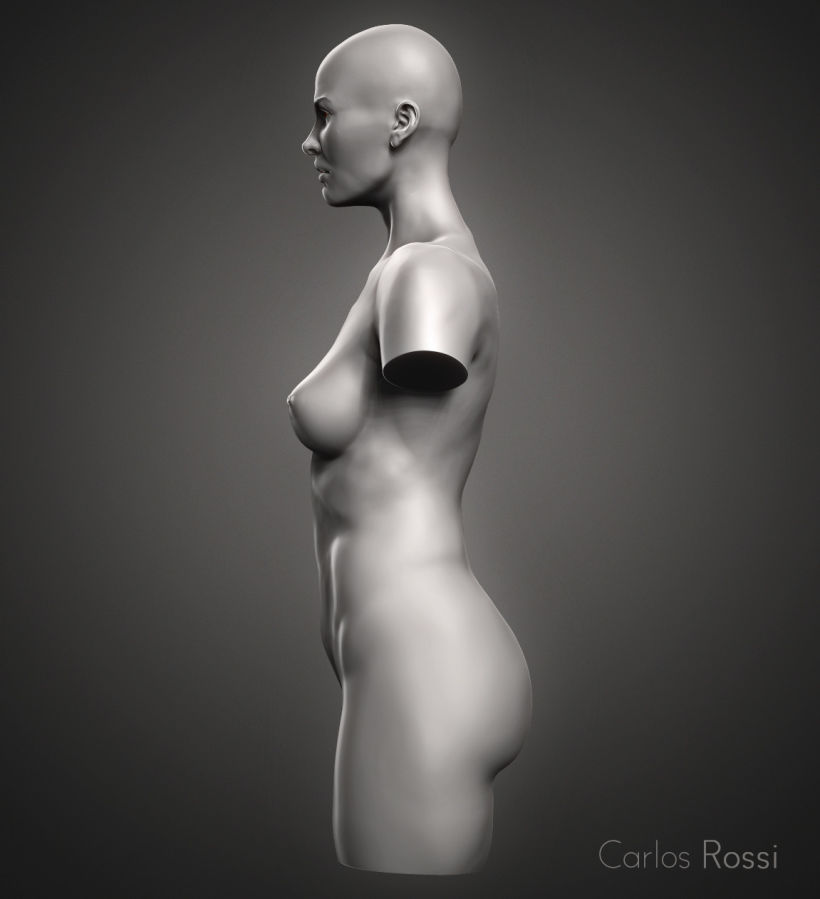 Practice torso woman 1