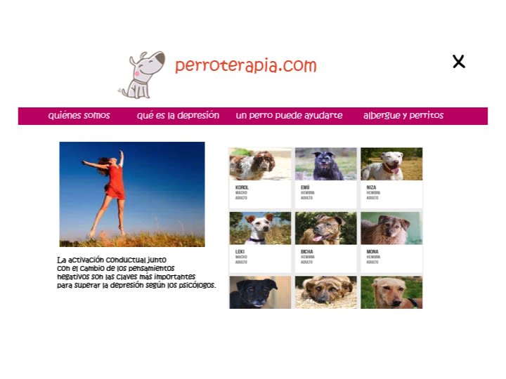 perroterapia.com ¿sabías que los perros pueden tener efectos terapéuticos sobre las  personas? 5