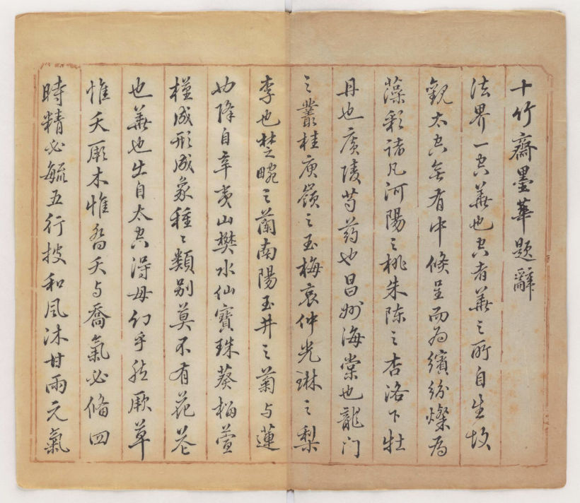 Muchos de los dibujos vienen acompañados de escritos tradicionales. 