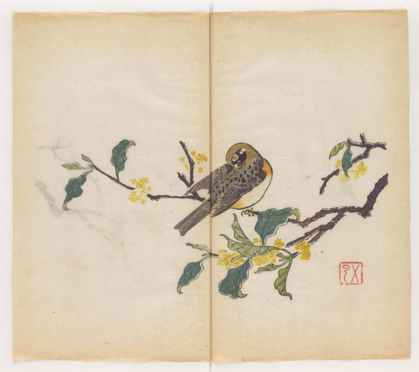 El cuaderno está dividido en ocho categorías, entre ellas, los pájaros.  