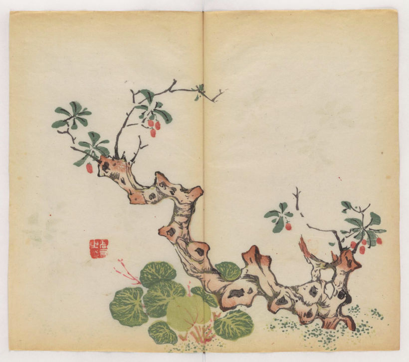 Página de Shi zhu zhai shu hua pu, la obra más antigua del mundo impresa. 