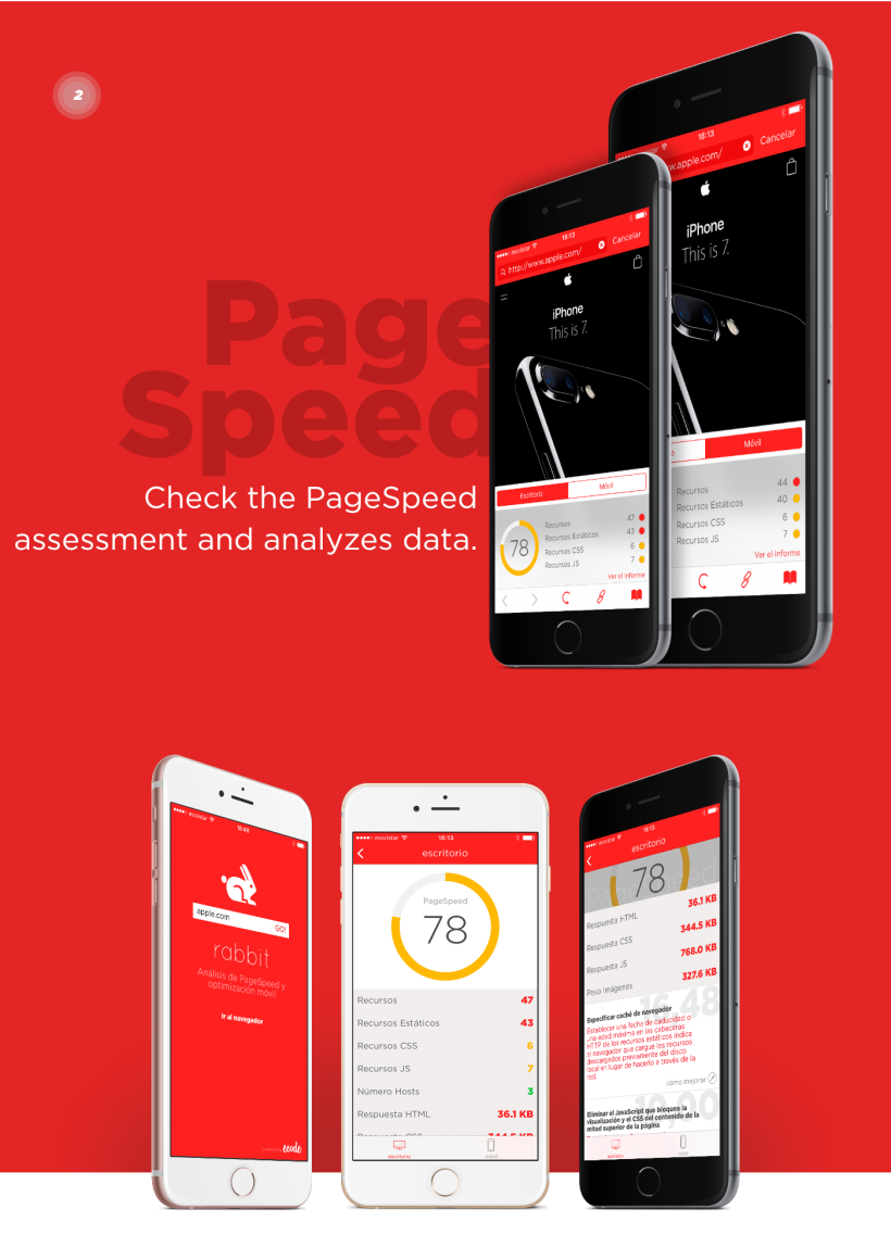 Rabbit Page Speed App 1