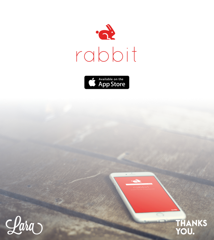 Rabbit Page Speed App 5