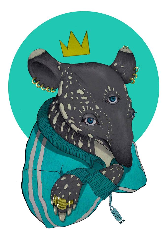 King Tapir -1