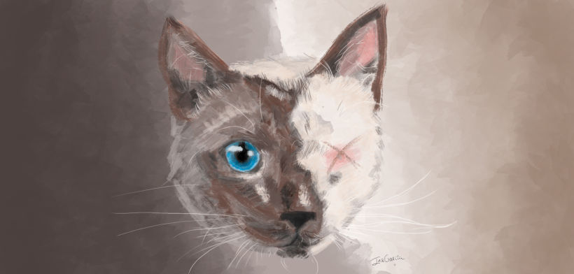 Pintura de gato -1