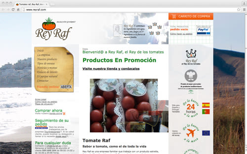 Página Web Corporativa y Tienda Online Rey Raf -1