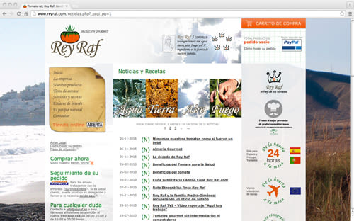 Página Web Corporativa y Tienda Online Rey Raf 1