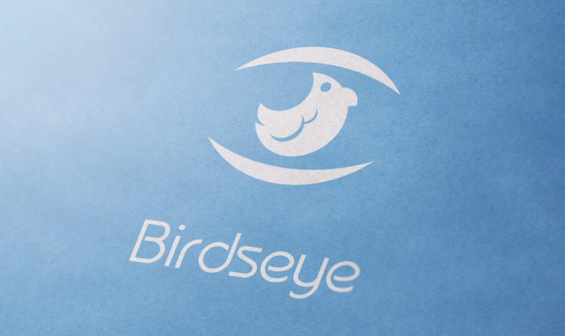 BirdsEye | Branding | Logotipo -1