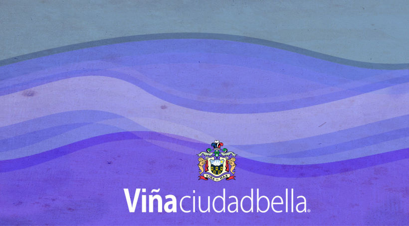 Tarjeta de presentación, desarrollo de identidad corporativa para Ilustre Municipalidad de Viña del Mar. 1
