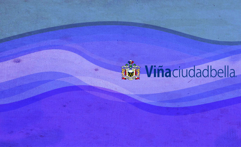 Tarjeta de presentación, desarrollo de identidad corporativa para Ilustre Municipalidad de Viña del Mar. 4