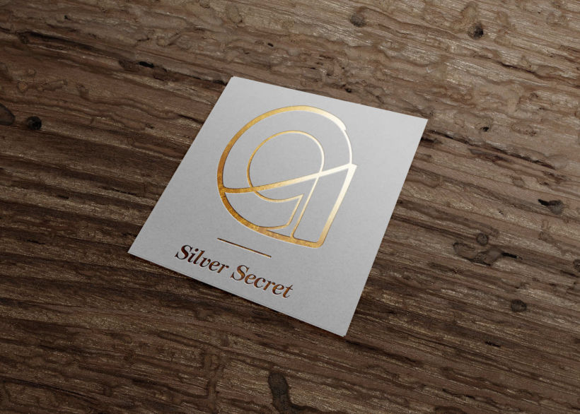 AG Silver Secret LOGO 1