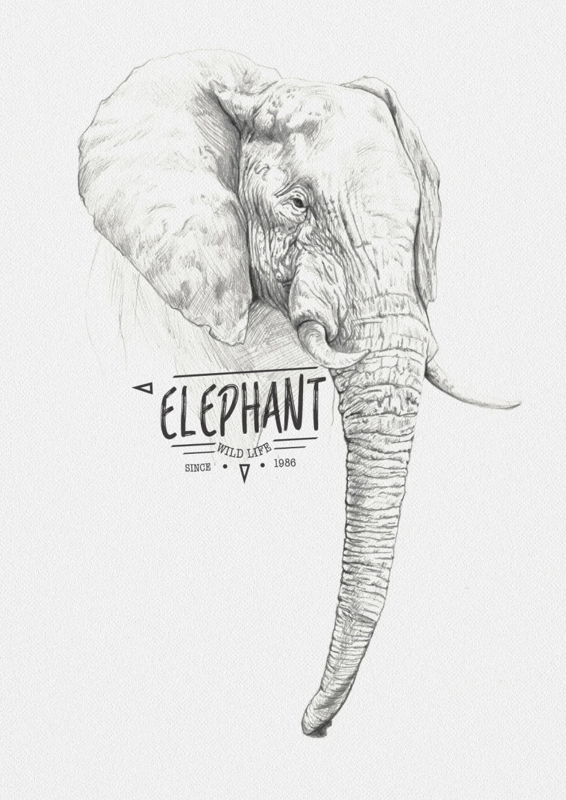 ELEPHANT -1