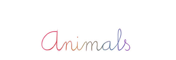 Animales -1