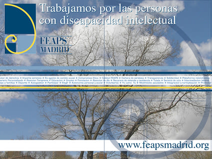 FEAPS Madrid. Materiales diversos 2006-2007 2