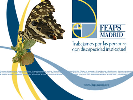 FEAPS Madrid. Materiales diversos 2006-2007 3