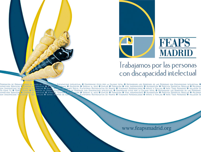 FEAPS Madrid. Materiales diversos 2006-2007 6