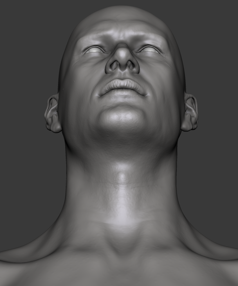 Estudio de una cabeza masculina 8