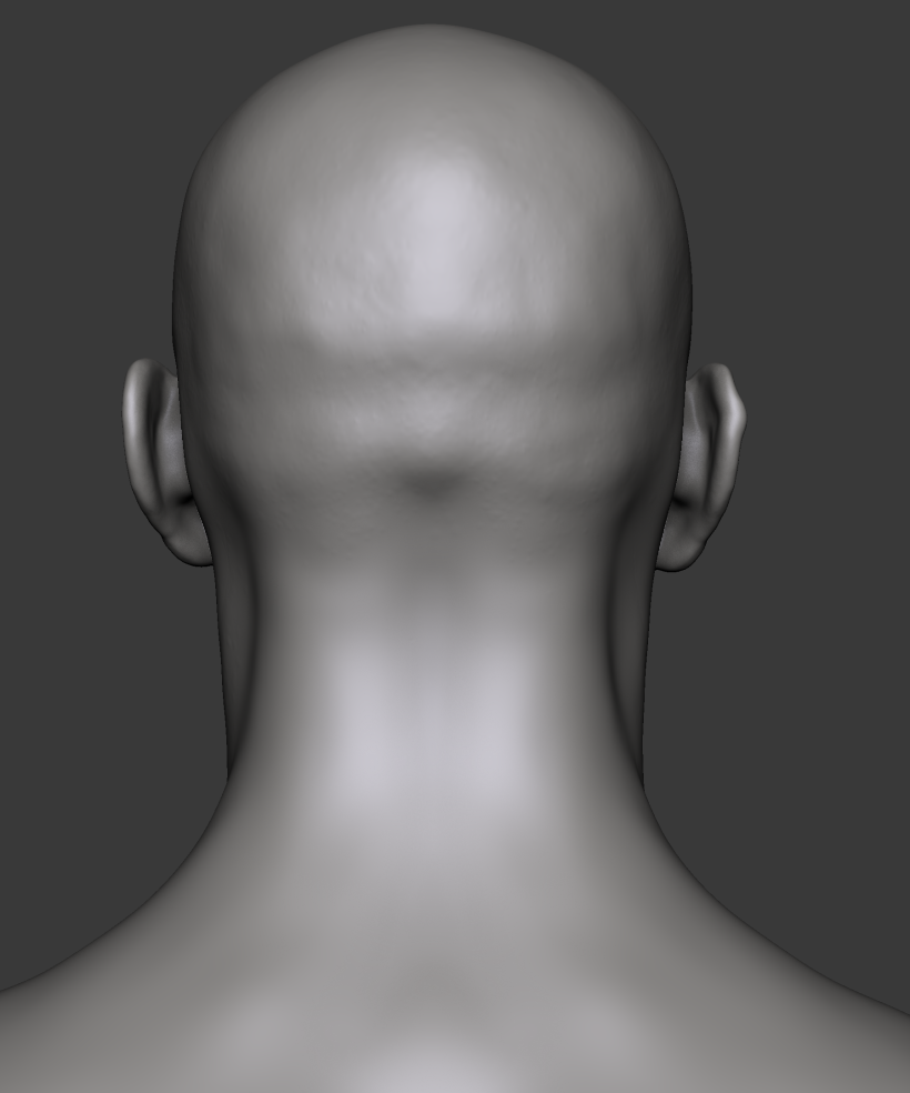 Estudio de una cabeza masculina 7