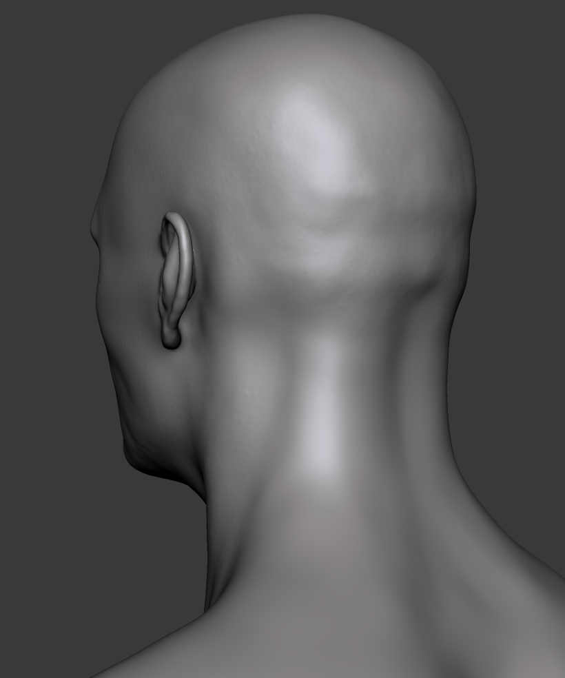 Estudio de una cabeza masculina 6