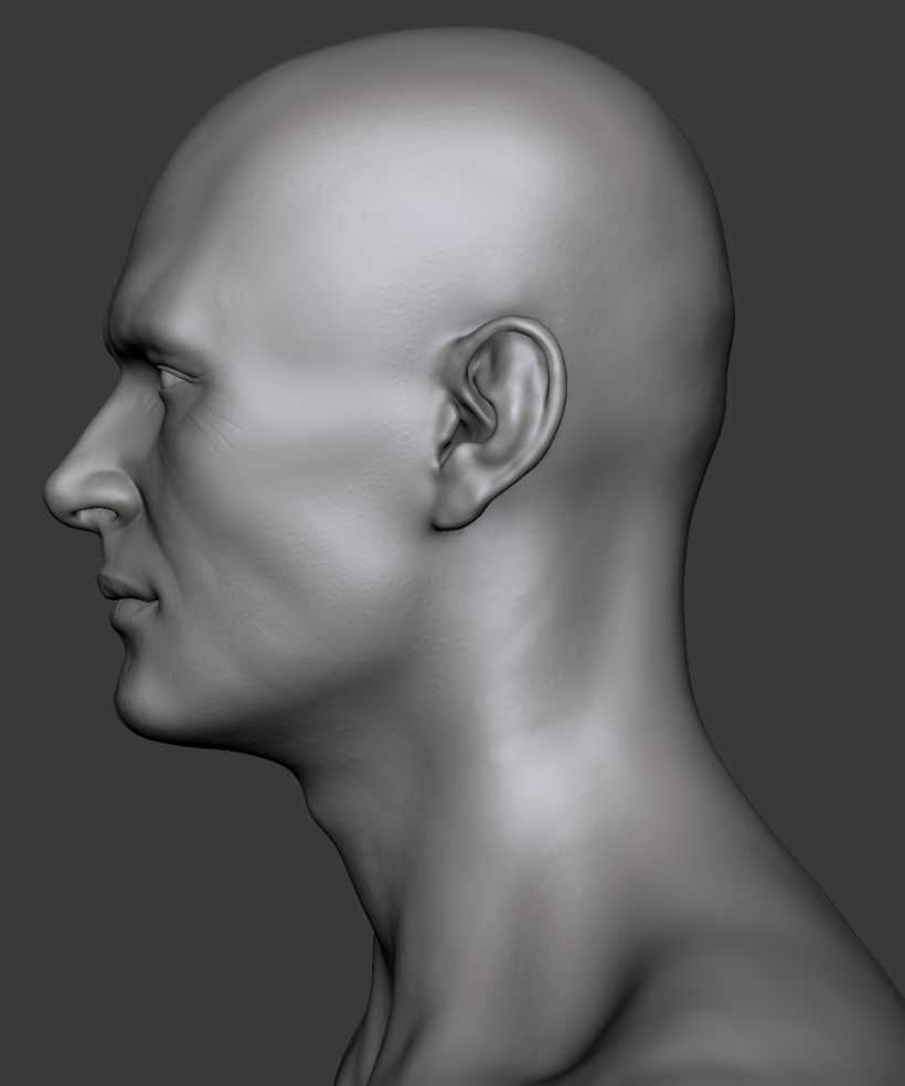 Estudio de una cabeza masculina 5