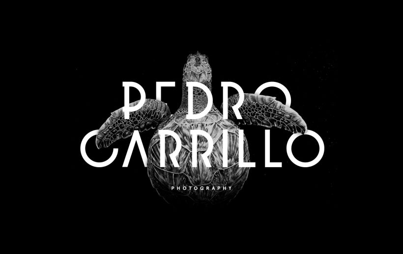 Pedro Carrillo Photography — Branding 0