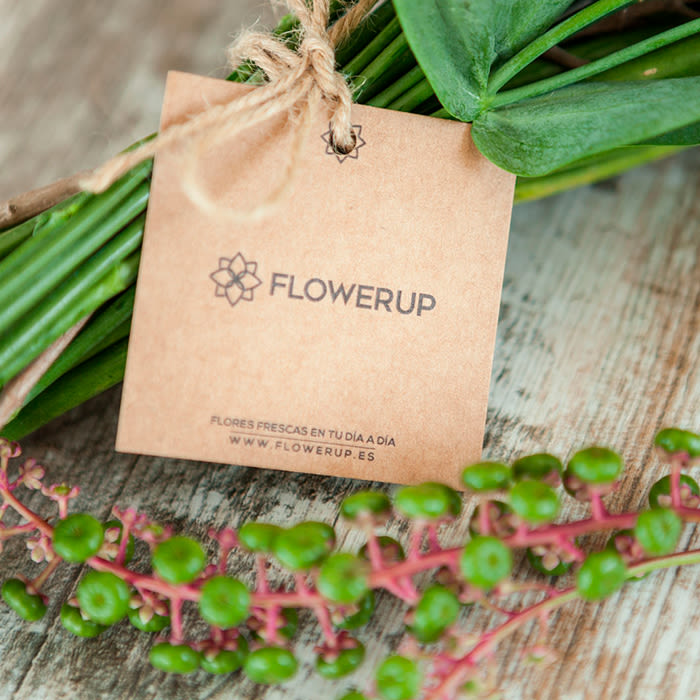 FlowerUp  |  Flores frescas en tu día a día 3