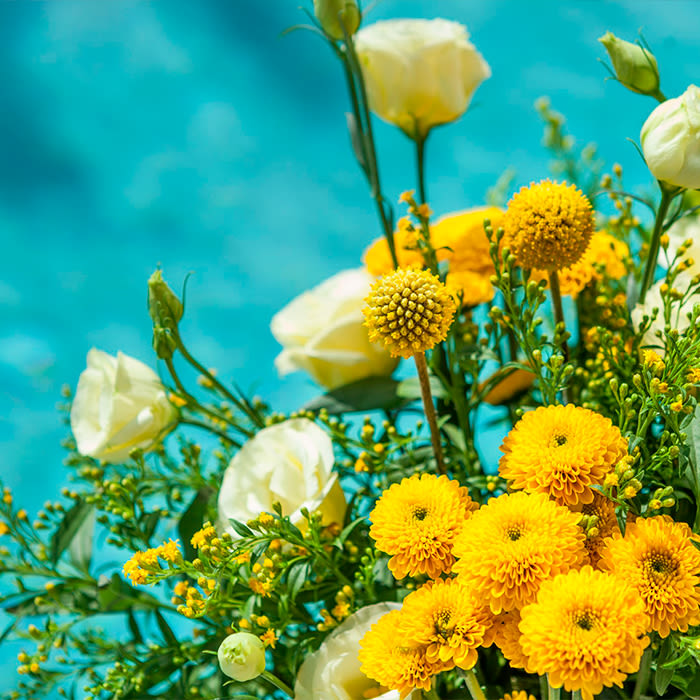 FlowerUp  |  Flores frescas en tu día a día 4