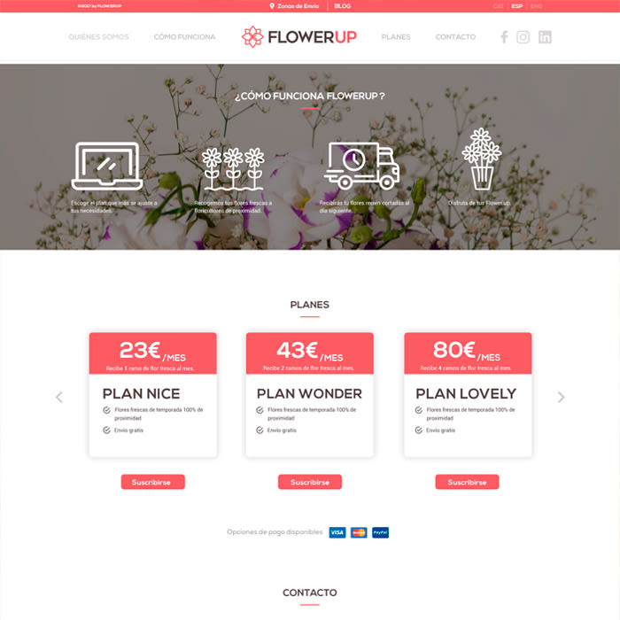 FlowerUp  |  Flores frescas en tu día a día 6