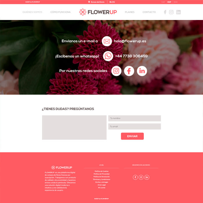 FlowerUp  |  Flores frescas en tu día a día 7
