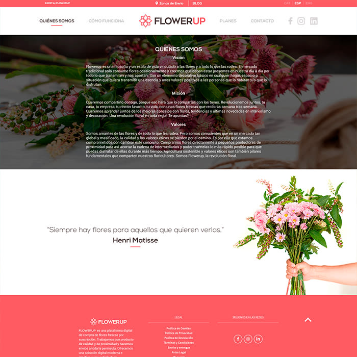FlowerUp  |  Flores frescas en tu día a día 8