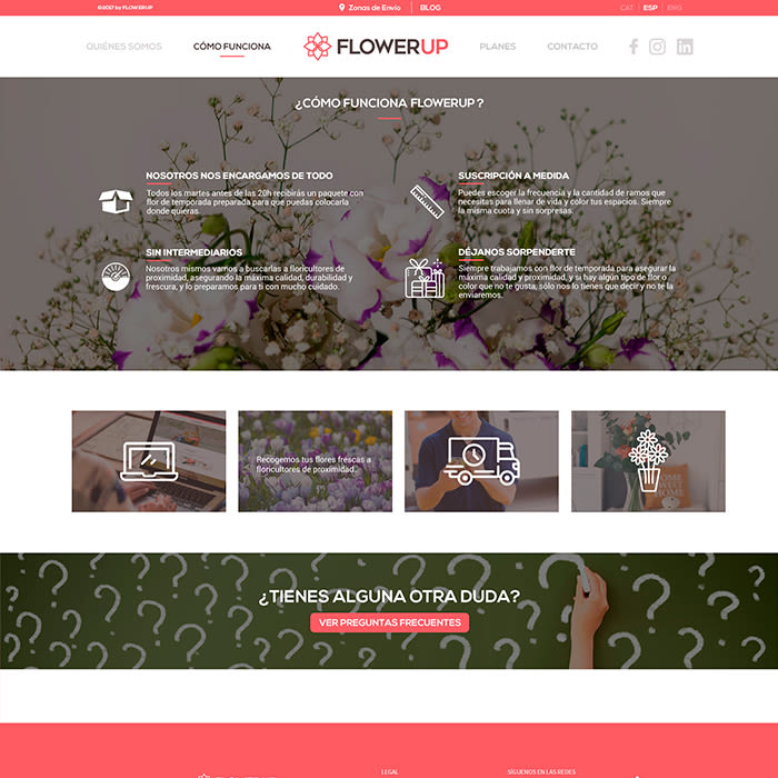 FlowerUp  |  Flores frescas en tu día a día 8