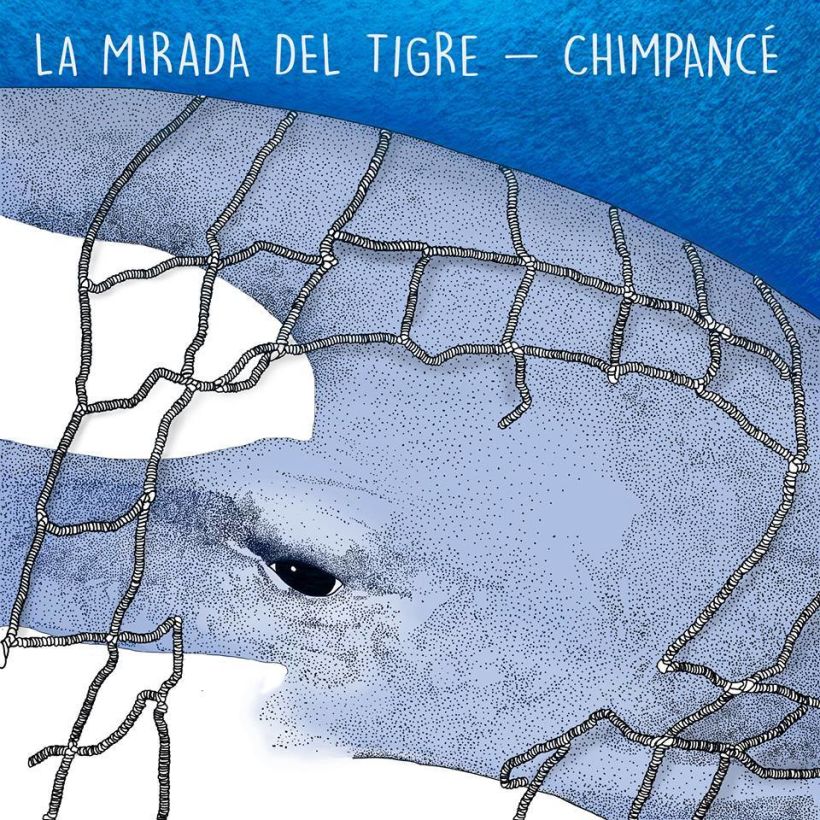 Ilustración Split La mirada del Tigre/ Chimpancé 0