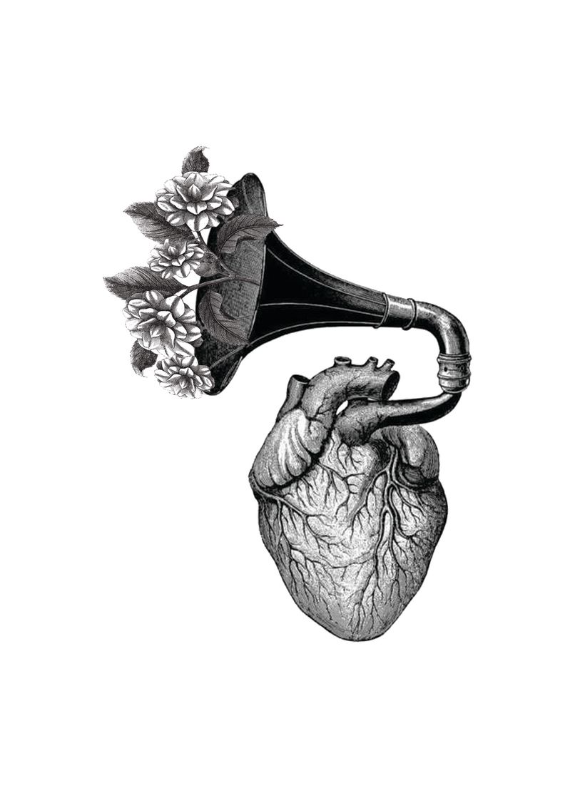 "Corazón Musiquero" -1