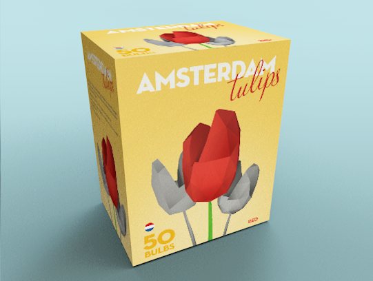 Disseny pack tulipans Amsterdam Tulips -1